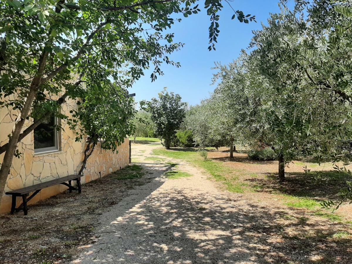 Holiday House Pulina Punat Εξωτερικό φωτογραφία